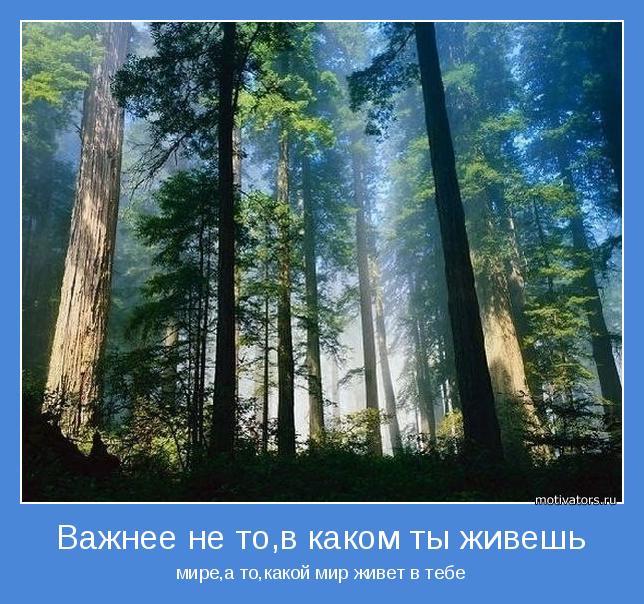 А ВАМ НУЖНА МОТИВАЦИЯ?