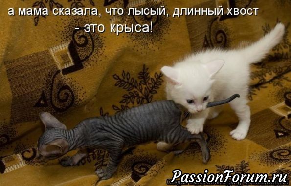 Улыбнитесь!
