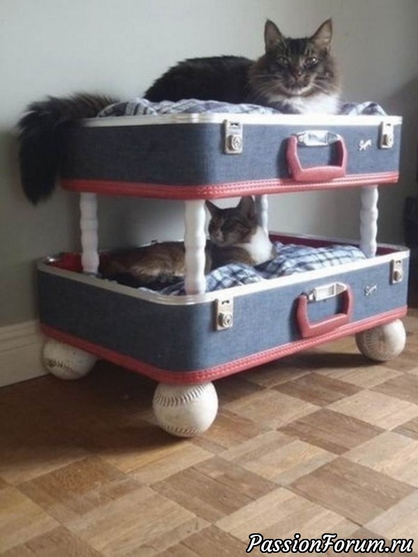Котоместа бюджетные и супербюджетные!)))