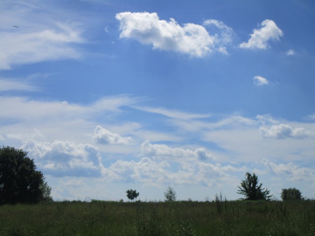 Природа ))))