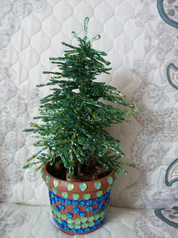 Голубая ель из рубки