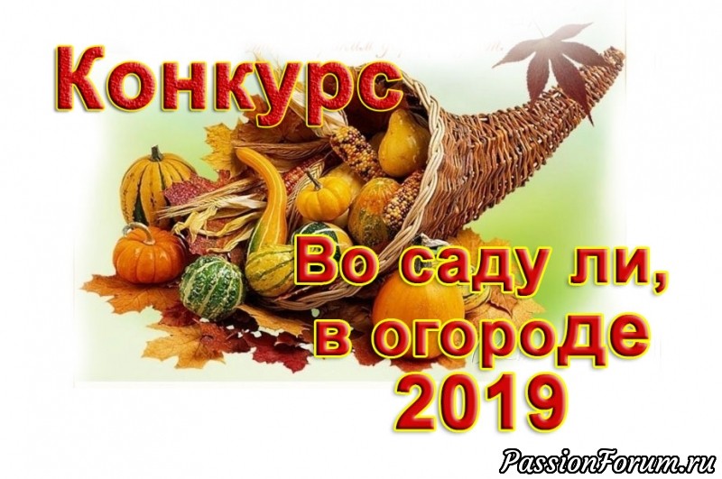 &laquo;Во саду ли, в огороде&raquo;. Ждем работы на конкурс до 30 октября!