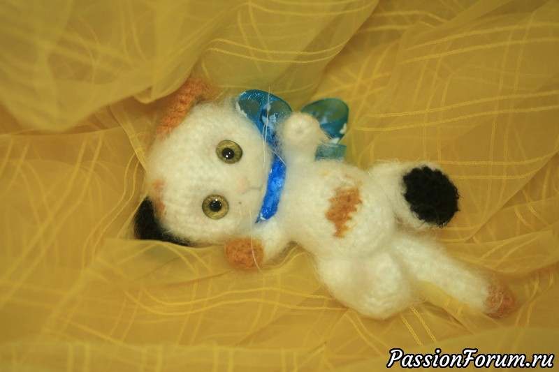 Трехцветная кошечка