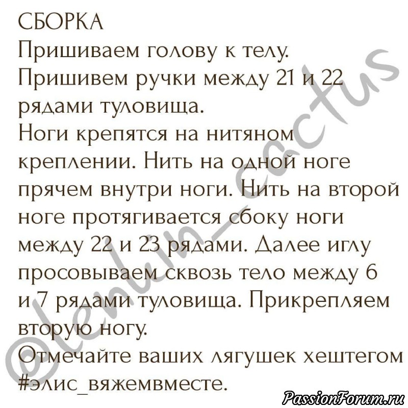Лягушечка Элис