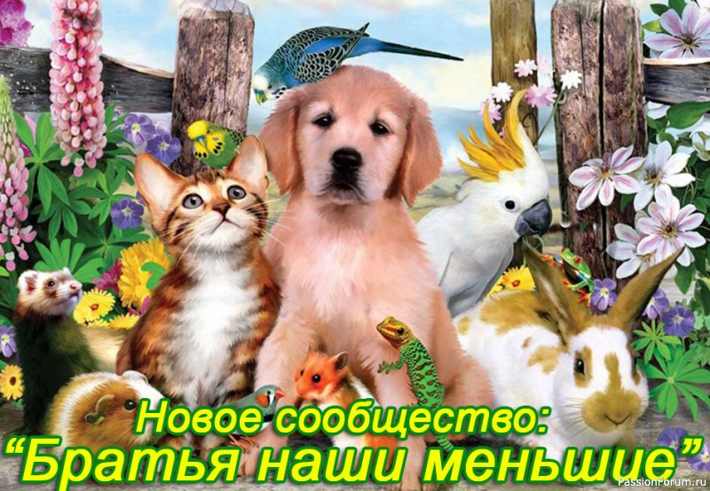 Новое сообщество: &quot;Братья наши меньшие&quot;