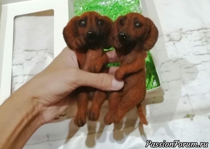 Таксы