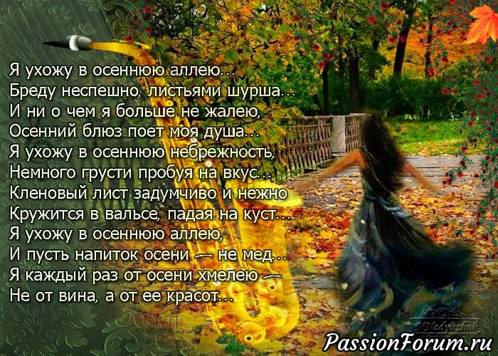 Осенний ковер на моей даче