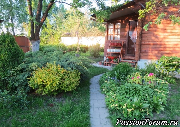 ВЕСНА ПЕРЕДАЕТ ЭСТАФЕТУ КРАСОК ЛЕТУ