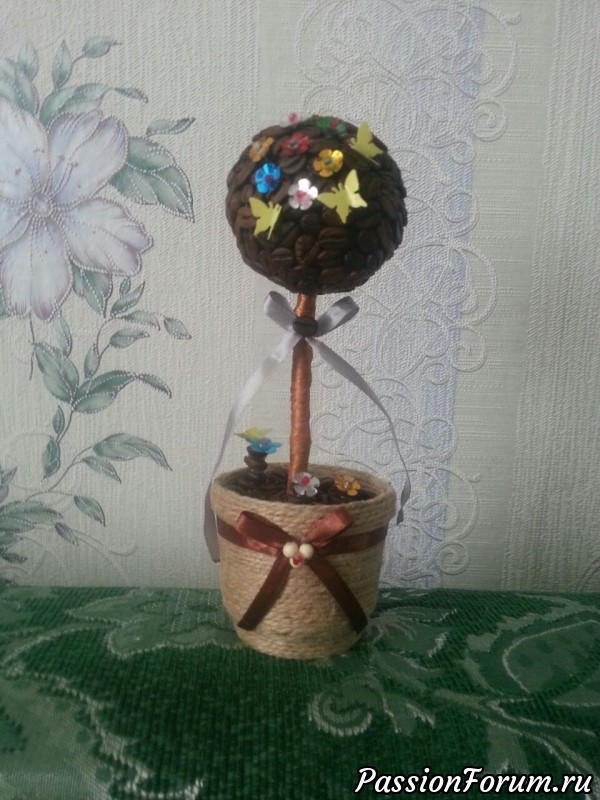 Кофейные деревца.