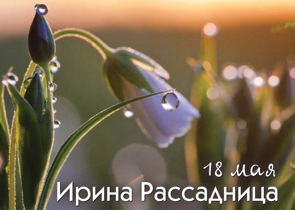 Народный календарь. 18 мая - Арина, Ирина Рассадница.