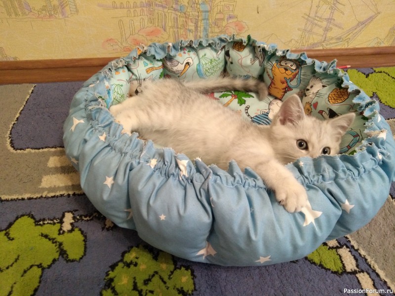 Мягкий лежачок под кошачий бочок