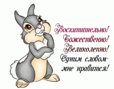 bozhestvenno-zaika.gif