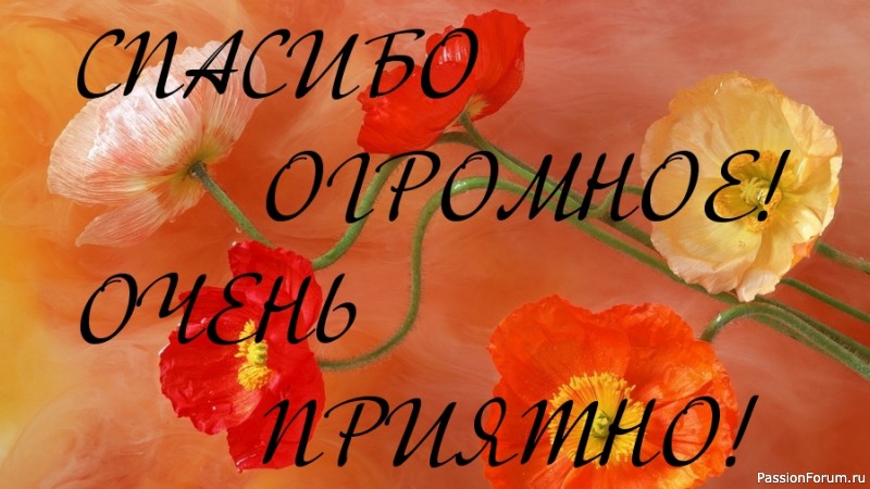 3b58352f.jpg