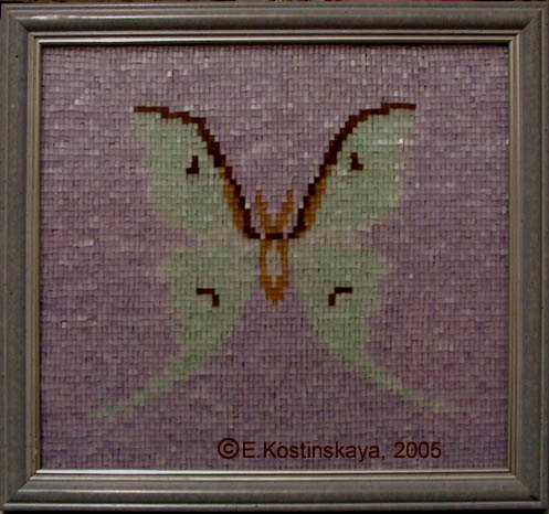 Павлиноглазка Артемида. Рубка, 1998