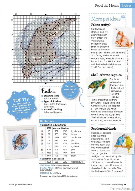 Журнал "The World of Cross Stitching" №311 2021. Много схем
