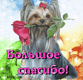 Мечты сбываются!!!