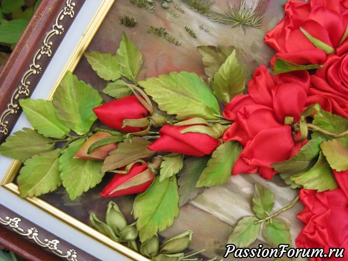 Красные розы. Розовый куст в саду