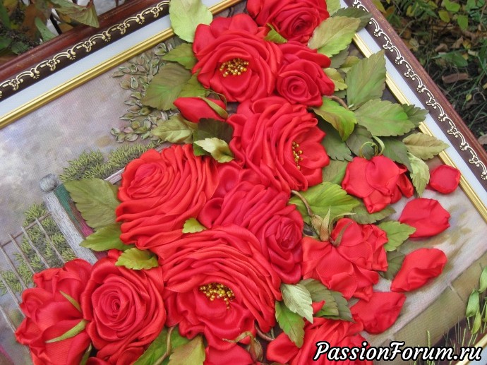 Красные розы. Розовый куст в саду