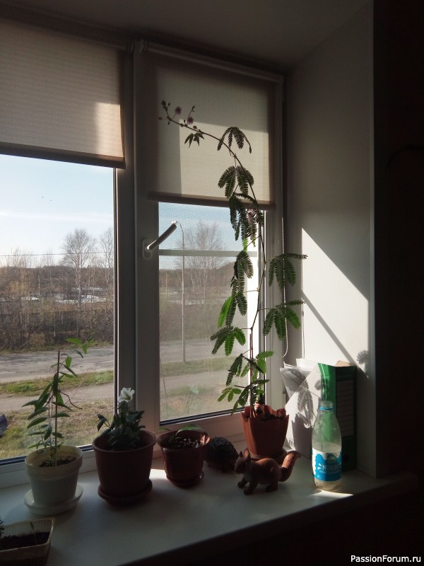 Готовлюсь к посадкам.