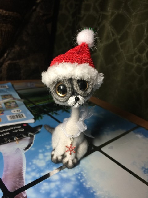 Котя у хозяйки, теперь можно показать)))