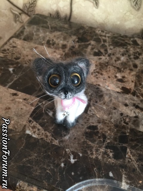 Опять котейка)