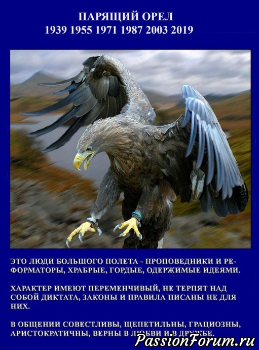 Наступающий 2019 год — это год парящего орла по славянскому календарю