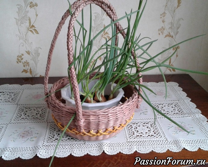Любимые плетеночки