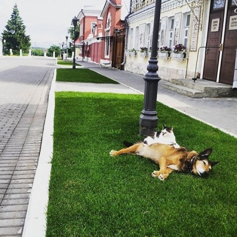 "Дружба крепкая..."