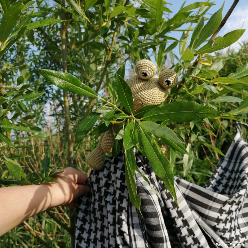 Лягушонок Жора