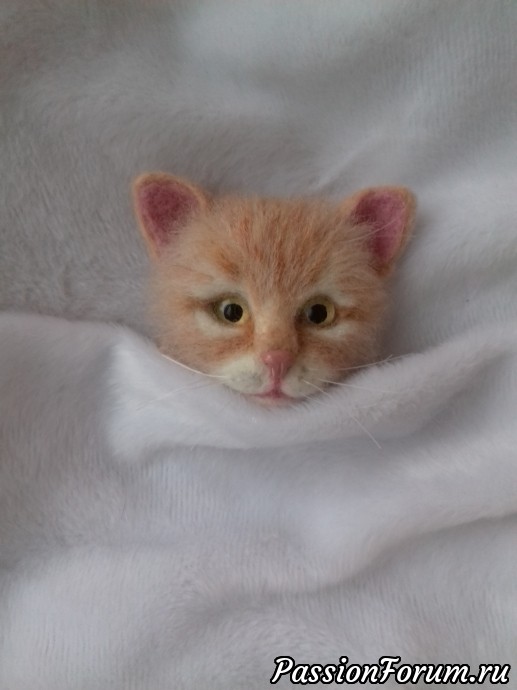 Котоброшь