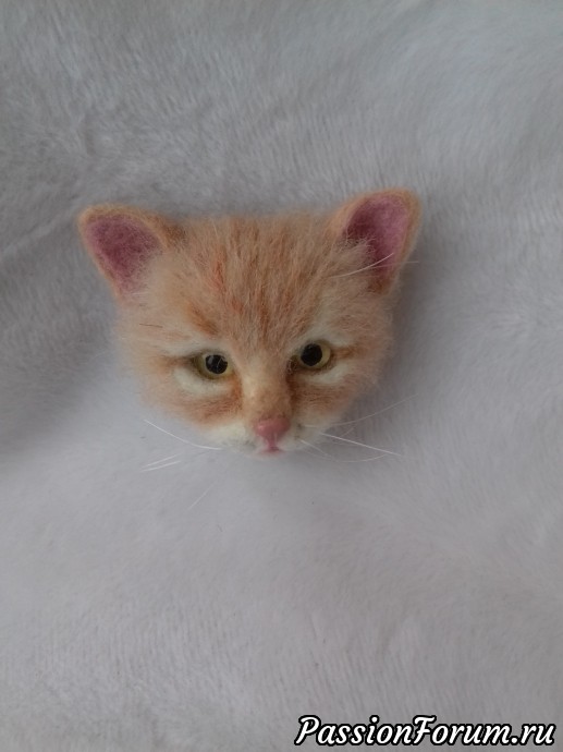 Котоброшь
