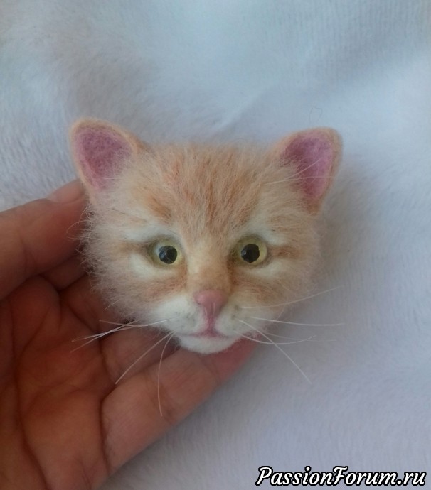 Котоброшь