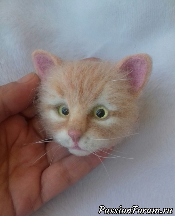 Котоброшь