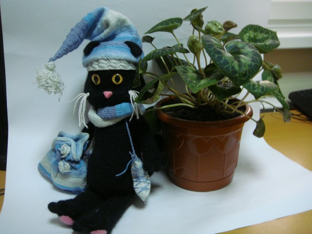 Котенок Басик