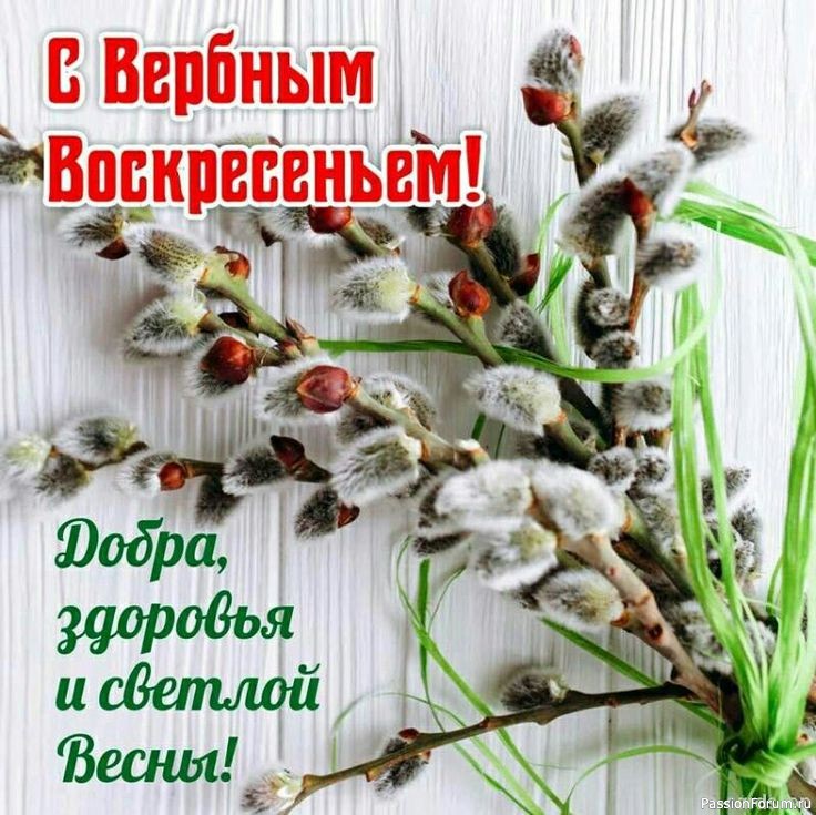 Шаль &quot;Летний иней&quot;