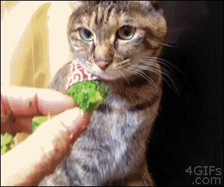 Кусочек позитива:)))