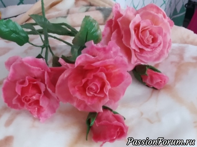 Ещё розы