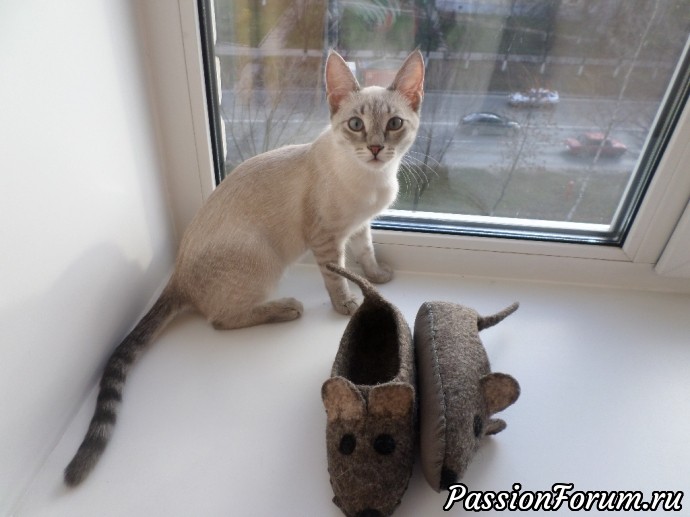 Кошки-мышки