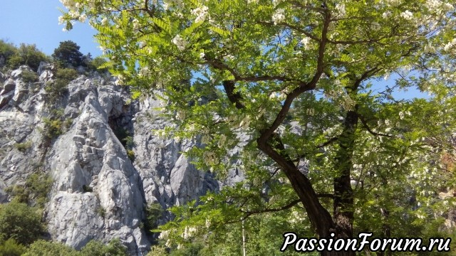 Удивительное рядом! И кардиган платочной вязкой.