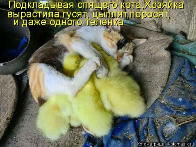 ​"Смеяться, право, не грешно над тем, что нам порой смешно..."