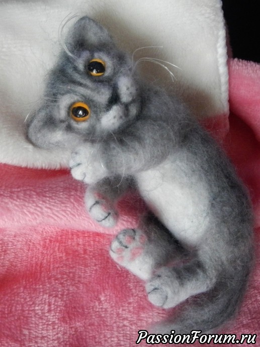 Серенькая кошечка
