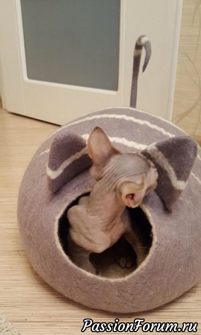 Лета нету..... Кошки мерзнут