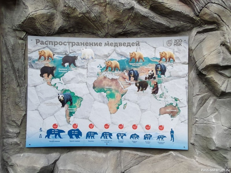 Новосибирский зоопарк им. Р. А. Шило