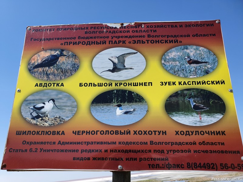 Озеро Эльтон. Перезагрузка.