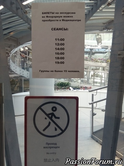 Это Москва! Была гостиница "Россия", а стал парк "Зарядье".