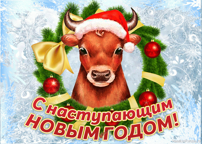 С наступающим 2021 годом!!