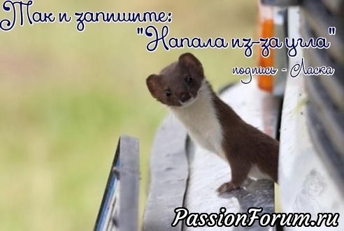 Свои и чужие