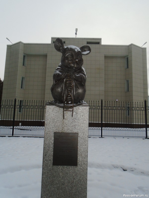 Встреча в Новосибирске, или Не прошло и полгода...