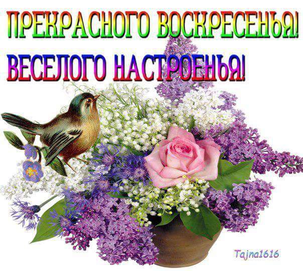 Выходной