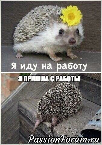 Улучшаем настроение